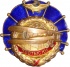 Почётный знак ГВФ СССР "За налёт 300 000 километров", август 1934, № 53