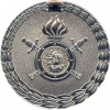 Medal MVD RF za razminir 02.jpg