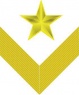 Петлица Командарм-1 1935-1940 03.jpg
