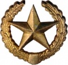 Петлич эмблема мотострелков СССР 1955 01.jpg