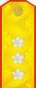 Генерал-полковник береговой службы