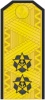 Vice-admiral RF 01.jpg