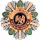 Орден Золотого орла (Казахстан, 2004)