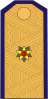14 Контр-адмирал 1943-1955 01.jpg
