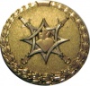 Medal MVD RF za smelost 02.jpg