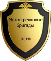 Мотострел бригады ВС РФ.jpg